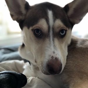 Meet your Posher, Madison